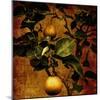 A Bonsai Pear Tree with Two Fruit Against a Rich, Gold Craquelure Background-Trigger Image-Mounted Photographic Print