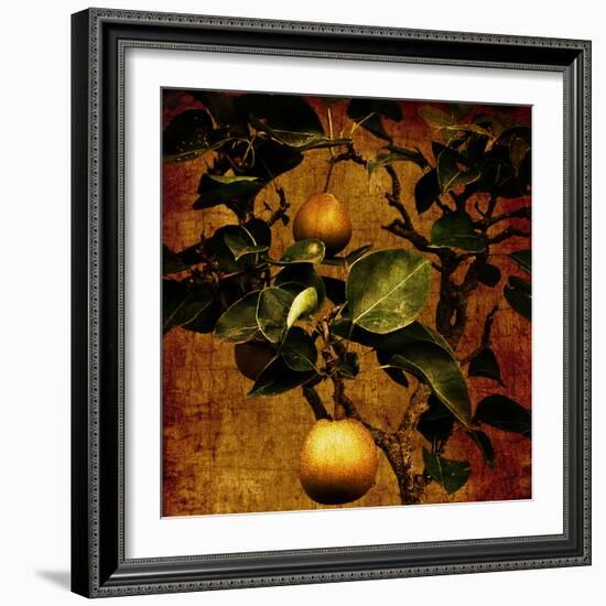 A Bonsai Pear Tree with Two Fruit Against a Rich, Gold Craquelure Background-Trigger Image-Framed Photographic Print