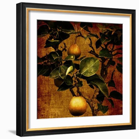 A Bonsai Pear Tree with Two Fruit Against a Rich, Gold Craquelure Background-Trigger Image-Framed Photographic Print