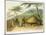 A Boosh-Wannah Hut Plate 7 from "African Scenery and Animals"-Samuel Daniell-Mounted Giclee Print