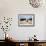 A Border Collie Herds Cattle In Northern Nevada On A High Desert Ranch-Shea Evans-Framed Photographic Print displayed on a wall