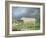 A Border Leicester Ewe-James Ward-Framed Giclee Print