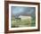 A Border Leicester Ewe-James Ward-Framed Giclee Print