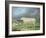 A Border Leicester Ewe-James Ward-Framed Giclee Print