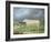 A Border Leicester Ewe-James Ward-Framed Giclee Print