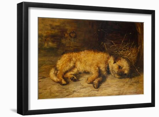 A Border Terrier Puppy, 1884 (Oil on Canvas)-Philip Eustace Stretton-Framed Giclee Print