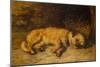 A Border Terrier Puppy, 1884 (Oil on Canvas)-Philip Eustace Stretton-Mounted Giclee Print