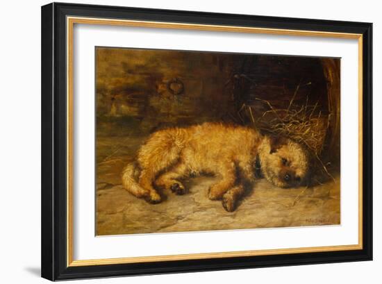 A Border Terrier Puppy, 1884 (Oil on Canvas)-Philip Eustace Stretton-Framed Giclee Print