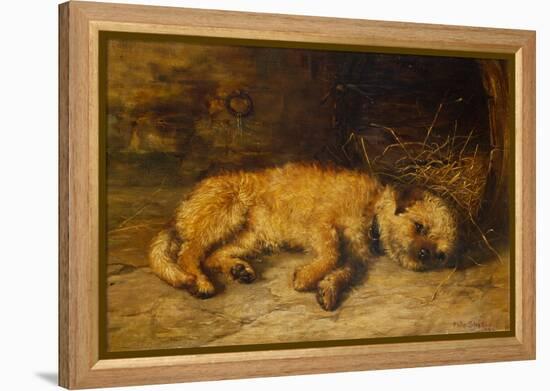 A Border Terrier Puppy, 1884 (Oil on Canvas)-Philip Eustace Stretton-Framed Premier Image Canvas