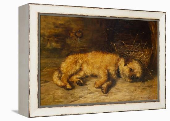 A Border Terrier Puppy, 1884 (Oil on Canvas)-Philip Eustace Stretton-Framed Premier Image Canvas