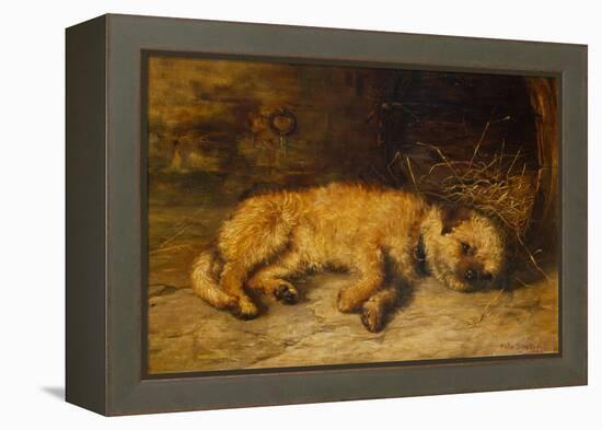 A Border Terrier Puppy, 1884 (Oil on Canvas)-Philip Eustace Stretton-Framed Premier Image Canvas