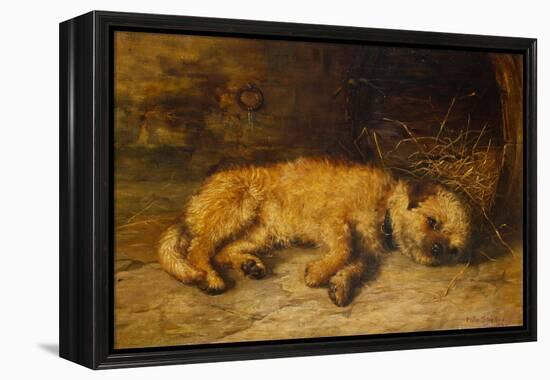 A Border Terrier Puppy, 1884 (Oil on Canvas)-Philip Eustace Stretton-Framed Premier Image Canvas