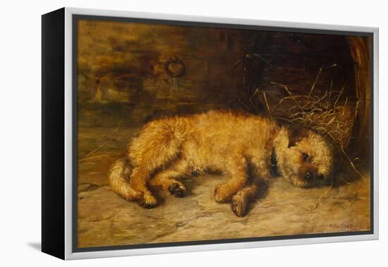 A Border Terrier Puppy, 1884 (Oil on Canvas)-Philip Eustace Stretton-Framed Premier Image Canvas