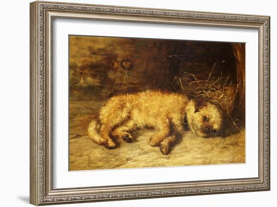 A Border Terrier Puppy-Philip Eustace Stretton-Framed Giclee Print