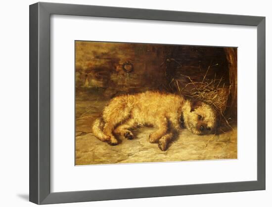 A Border Terrier Puppy-Philip Eustace Stretton-Framed Giclee Print