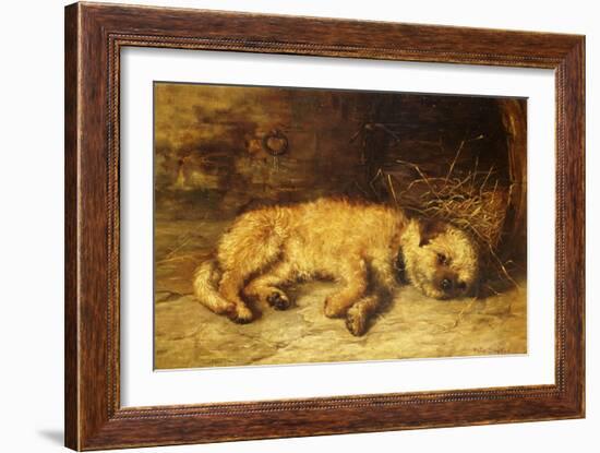 A Border Terrier Puppy-Philip Eustace Stretton-Framed Giclee Print