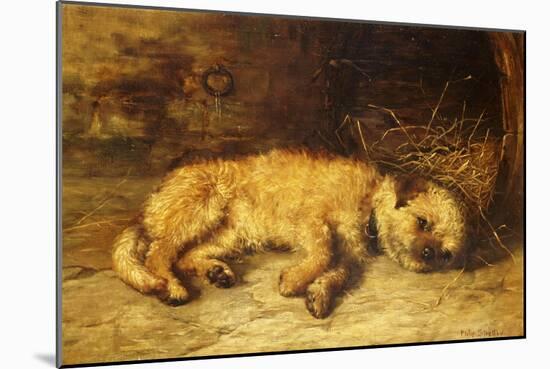 A Border Terrier Puppy-Philip Eustace Stretton-Mounted Giclee Print