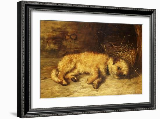 A Border Terrier Puppy-Philip Eustace Stretton-Framed Giclee Print
