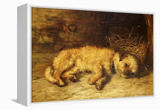 A Border Terrier Puppy-Philip Eustace Stretton-Framed Premier Image Canvas