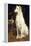 A Borzoi by a Chair-St. George Hare-Framed Premier Image Canvas