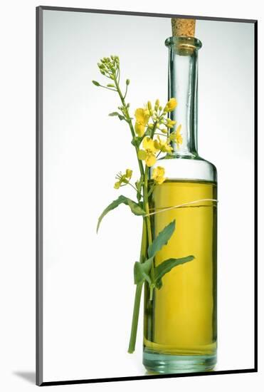 A Bottle of Rapeseed Oil with Flowers-Bodo A^ Schieren-Mounted Photographic Print