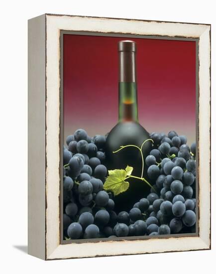 A Bottle of Red Wine with Black Grapes-Vladimir Shulevsky-Framed Premier Image Canvas