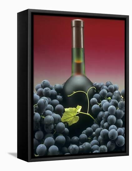 A Bottle of Red Wine with Black Grapes-Vladimir Shulevsky-Framed Premier Image Canvas