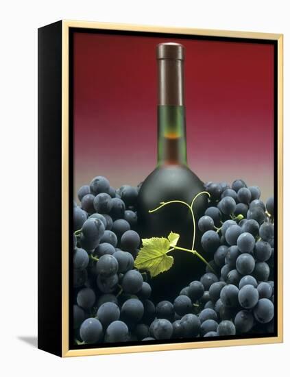 A Bottle of Red Wine with Black Grapes-Vladimir Shulevsky-Framed Premier Image Canvas