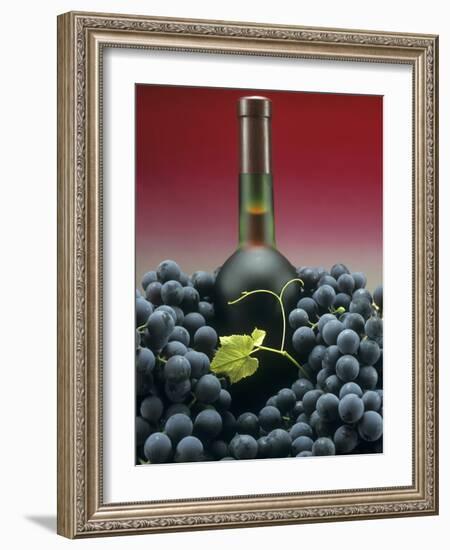 A Bottle of Red Wine with Black Grapes-Vladimir Shulevsky-Framed Photographic Print