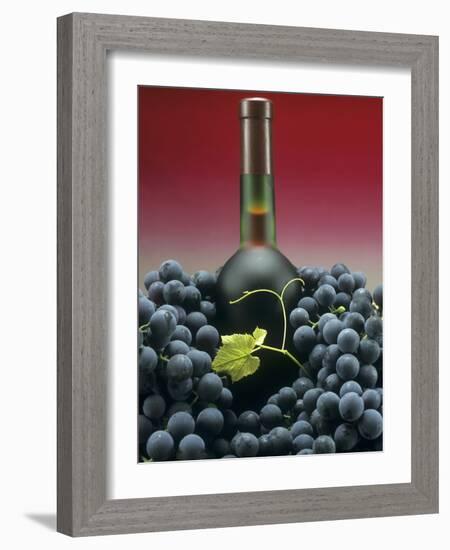 A Bottle of Red Wine with Black Grapes-Vladimir Shulevsky-Framed Photographic Print