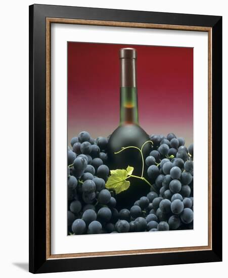 A Bottle of Red Wine with Black Grapes-Vladimir Shulevsky-Framed Photographic Print