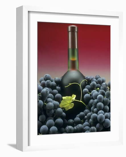 A Bottle of Red Wine with Black Grapes-Vladimir Shulevsky-Framed Photographic Print