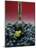 A Bottle of Red Wine with Black Grapes-Vladimir Shulevsky-Mounted Photographic Print