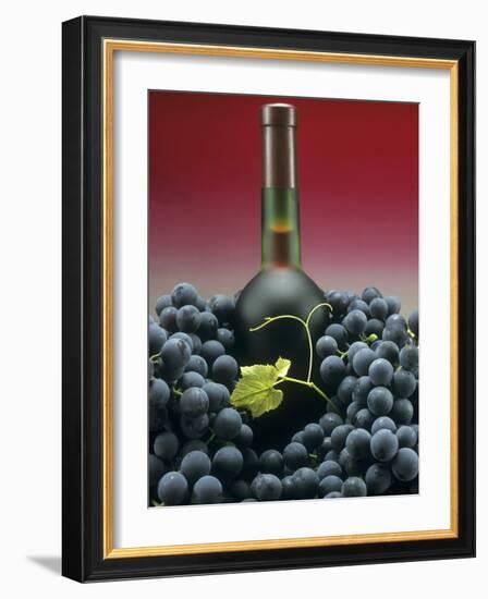 A Bottle of Red Wine with Black Grapes-Vladimir Shulevsky-Framed Photographic Print
