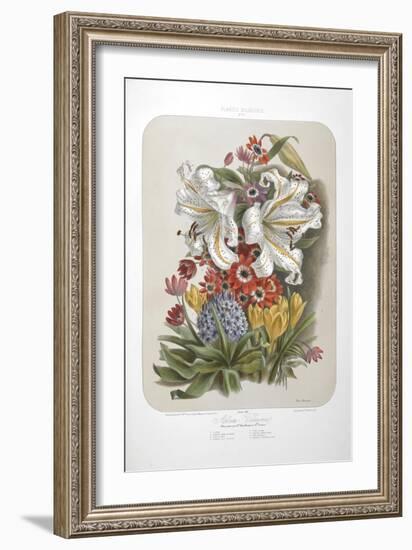 A Bouquet Of Flowers Including Crocuses and Lilies-Elisa Champin-Framed Giclee Print