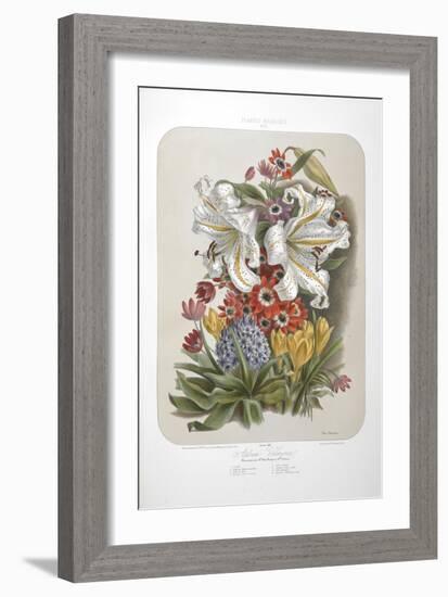 A Bouquet Of Flowers Including Crocuses and Lilies-Elisa Champin-Framed Giclee Print