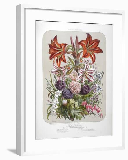 A Bouquet Of Flowers Including Lilies-Elisa Champin-Framed Giclee Print