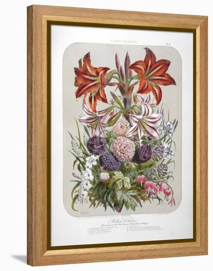 A Bouquet Of Flowers Including Lilies-Elisa Champin-Framed Premier Image Canvas