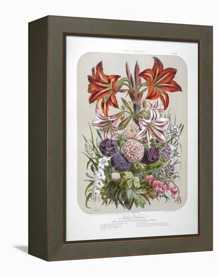 A Bouquet Of Flowers Including Lilies-Elisa Champin-Framed Premier Image Canvas