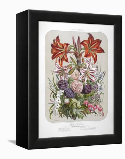 A Bouquet Of Flowers Including Lilies-Elisa Champin-Framed Premier Image Canvas