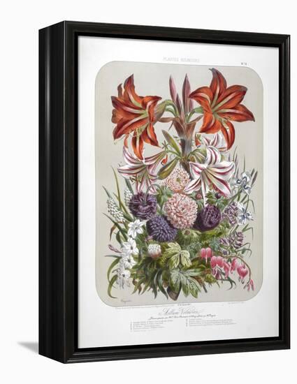 A Bouquet Of Flowers Including Lilies-Elisa Champin-Framed Premier Image Canvas