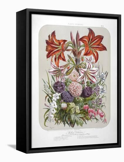 A Bouquet Of Flowers Including Lilies-Elisa Champin-Framed Premier Image Canvas