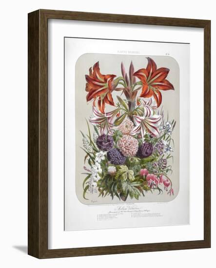 A Bouquet Of Flowers Including Lilies-Elisa Champin-Framed Giclee Print