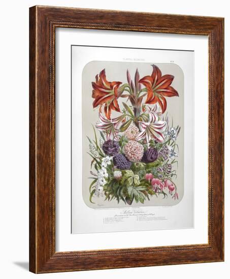 A Bouquet Of Flowers Including Lilies-Elisa Champin-Framed Giclee Print