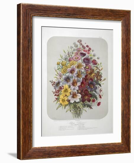 A Bouquet Of Flowers-Elisa Champin-Framed Giclee Print