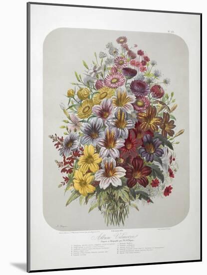 A Bouquet Of Flowers-Elisa Champin-Mounted Giclee Print