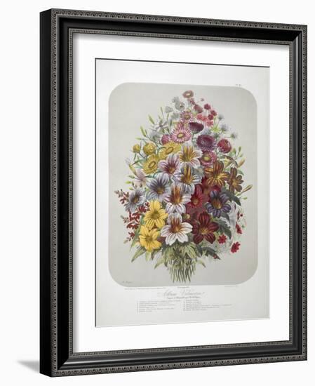 A Bouquet Of Flowers-Elisa Champin-Framed Giclee Print