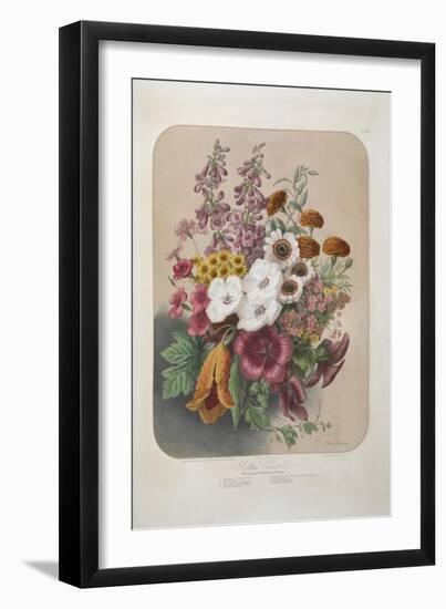 A Bouquet Of Flowers-Elisa Champin-Framed Giclee Print