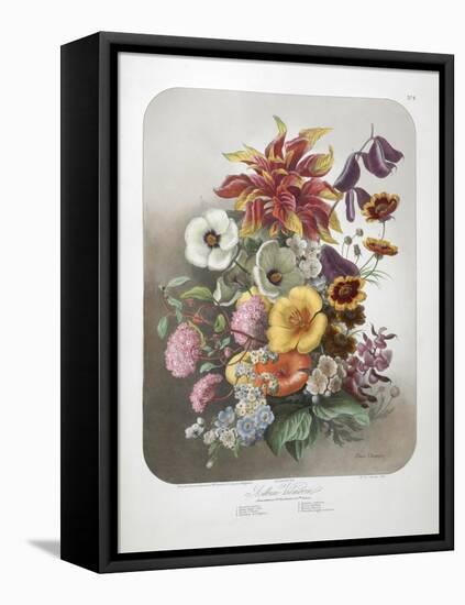 A Bouquet Of Flowers-Elisa Champin-Framed Premier Image Canvas