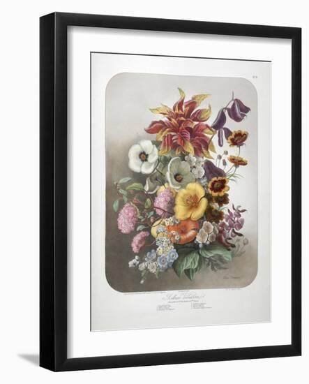 A Bouquet Of Flowers-Elisa Champin-Framed Giclee Print